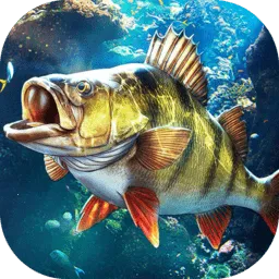 ���ֵ����ʦ���ʷ�(����ģ����Ϸ)