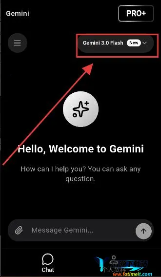 GeminiPro(智能助手) GeminiPro(智能助手)