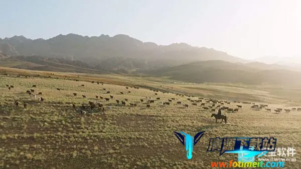 全聚合TV2026官方最新版本 全聚合TV2026官方最新版本