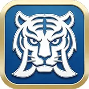 �׻�TV(����ֱ������)