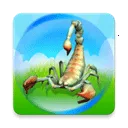 ����������Ҷ���׿���ֻ���