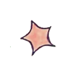 ����2026���°汾