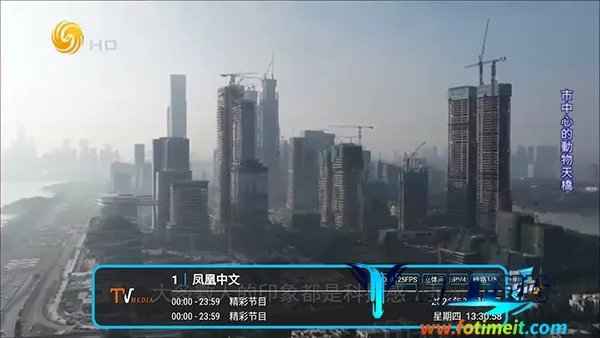 �͵�TV����2026�ٷ�����