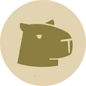 Capy Reader2026�ٷ�����