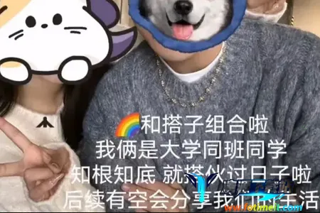 ��������(�λ齻��ƽ̨)