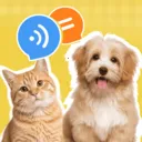 è�����ｻ������(����������������)
