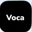 Voca AI
