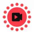 intolive��̬��ֽ������2026�ٷ����°汾