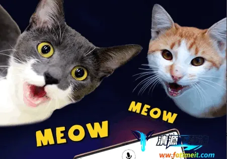 人猫翻译器 人猫翻译器