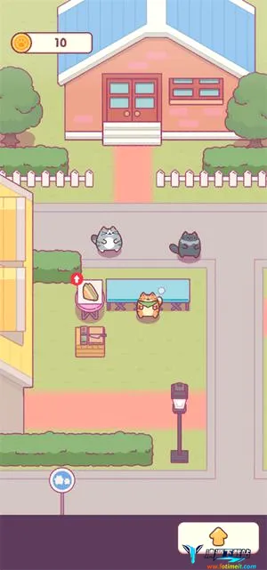 猫咪小吃店 猫咪小吃店