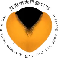 ��������2026�ٷ�����
