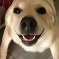�󹷽���Ϸ������ư�