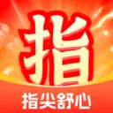 ָ������