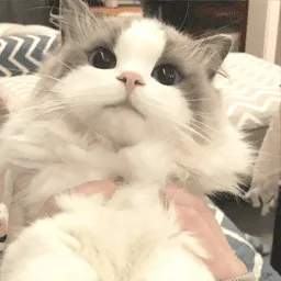 �δ����ǽ