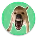 �󹷽�������2026�ٷ�����