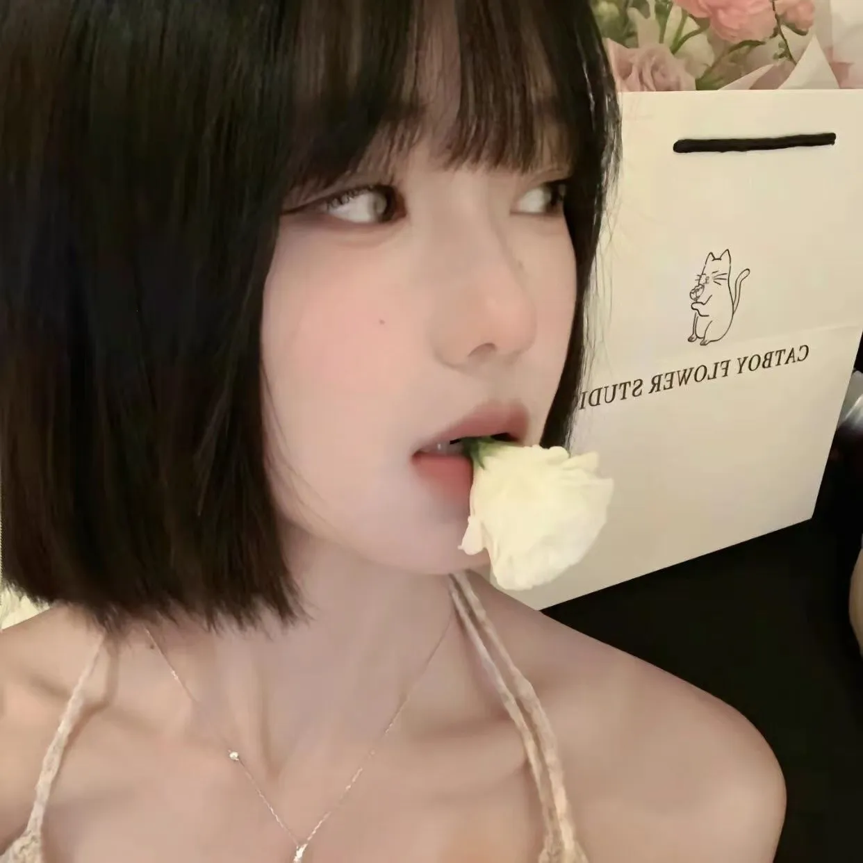 LT�˿ڶ�2026�ٷ�����