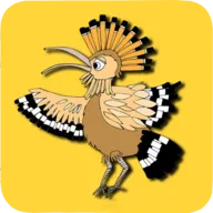 The Birds����Ϸ���ѽ�����ȸ��2026�ٷ����°汾