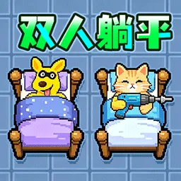 ˫���͹���ƽ