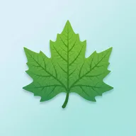 �Ի���ͩ